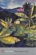 Cover of Wide Sargasso Sea