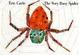 Cover of The Very Busy Spider