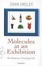 Cover of "Molecules at an Exhibition"