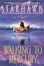 Cover of "Walking to Mercury"