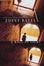 Cover of "A Wall of Light"