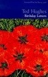 Cover of Birthday Letters