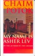 Cover of My Name Is Asher Lev