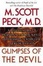 Cover of "Glimpses of the Devil"
