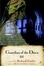 Cover of 'Guardian of the Dawn'