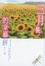 Cover of "三月裡的幸福餅"