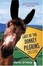 Cover of "Last of the Donkey Pilgrims"