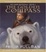Cover of "The Golden Compass"