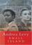 Cover of "Small Island"