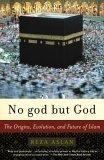 No god but God : The Origins, Evolution, and Future of Islam