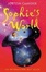 Cover of Sophie's World