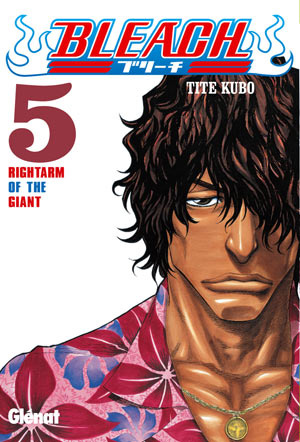 Image of Bleach, nº 5