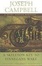 Cover of "A Skeleton Key to Finnegans Wake"