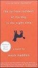 Image of The Curious Incident of the Dog in the Night-time
