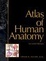 Cover of Atlas of Human Anatomy