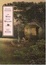 Cover of The Wind in the Willows