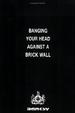 Cover of Banging Your Head Against a Brick Wall