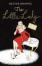 Cover of "The Little Lady Agency"
