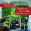 Cover of 'Outside the Not So Big House'