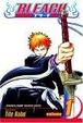 Cover of Bleach, Volume 1