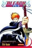Bleach, Volume 1