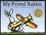 Cover of 'My Friend Rabbit'