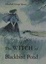 Cover of The Witch of Blackbird Pond