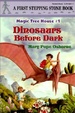 Cover of Dinosaurs Before Dark