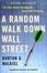Cover of A Random Walk Down Wall Street