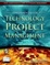 Cover of "Fundamentals of Technology Project Management"
