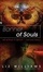 Cover of "Banner of Souls"