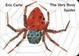 Cover of The Very Busy Spider