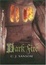 Cover of "Dark Fire"