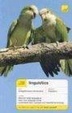 Cover of Teach Yourself Linguistics