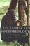 Cover of 'The Triumph of Sociobiology'