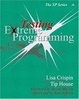 Cover of Testing Extreme Programming
