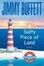 Cover of "A Salty Piece of Land"