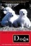 Cover of "Dogs"