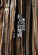 Cover of 蠹魚頭的舊書店地圖