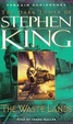 Cover of The Dark Tower, Book 3