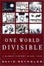 Cover of "One World Divisible"
