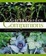 Cover of "Great Garden Companions"