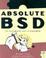 Cover of "Absolute BSD"