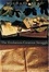 Cover of "The Evolution-Creation Struggle"
