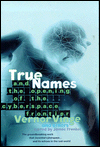 Image of True Names and Opening of the Cyberspace Frontier