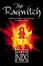 Cover of "The Ragwitch"