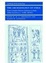 Cover of "The Archaeology of Syria"
