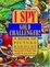 Cover of "I Spy Gold Challenger"