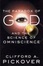 Cover of The Paradox of God and the Science of Omniscience