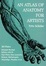 Cover of An Atlas of Anatomy for Artists